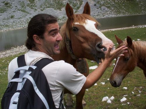 marcellofestegg's profile picture. 