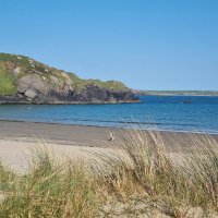 IrishWriterBeware (@writerbewareie) 's Twitter Profile Photo