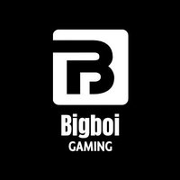 Bigboi Gaming(@bigboigaming_) 's Twitter Profile Photo