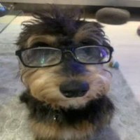 Caco (@_star_bboy) 's Twitter Profile