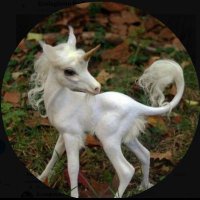 Ecologismo Radical 🏴☠️ (@telosunicornios) 's Twitter Profile