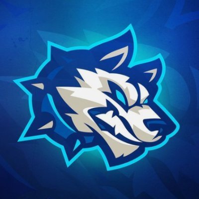 icedog87's profile picture. Wer um Regen bettelt muss auch den Matsch verkraften können