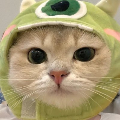 Hitsume_'s profile picture. Colossians 3:13