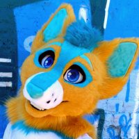 Riley Dog 🧡🔜 CFz(@MangoShep) 's Twitter Profile Photo