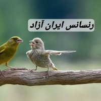 حلقه نور(@halghenoor) 's Twitter Profile Photo