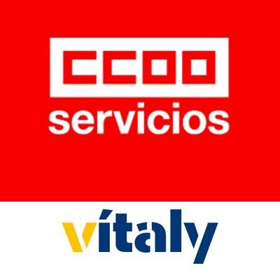 Sección sindical de CCOO en Vitaly