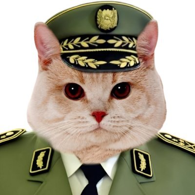 General Cat Salah 🇩🇿