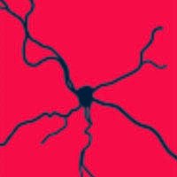Rinaldi lab (@the_r_lab) 's Twitter Profile