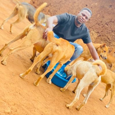please dear friends and family 🚫🚫❌❌🐕🐕🦺 stop animals cruelty come and save animals together, we rescue stray animals provide #saveanimals 🥦🌱🍀 #vagan ⬇️