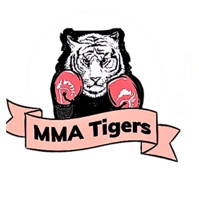 MMA International Fighter