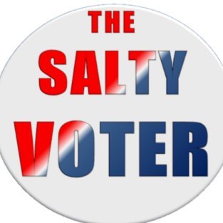 theesaltyvoter Profile Picture