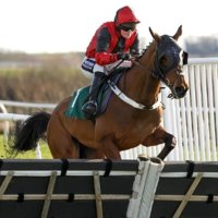 Always Trying Racing Syndicate (@alwaystryingrs) 's Twitter Profile