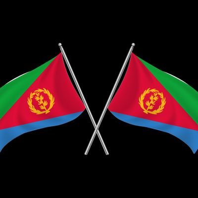 I am an Eritrean. Passionate in Artificial intelligence.