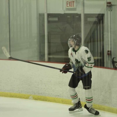 |Junior| Oak lawn high school | 2025 | 17 years old | Chicago Horned Frogs Hockey club 18u | Uncommited |