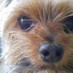 AutoCAD71390 (@ppppeet) Twitter profile photo