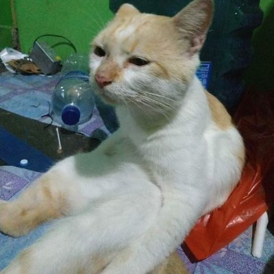 lsazora's profile picture. 