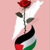 🇵🇸🇲🇦💐🌹🥀(تميمي)/ Tamimi (@tmymy413178) Twitter profile photo