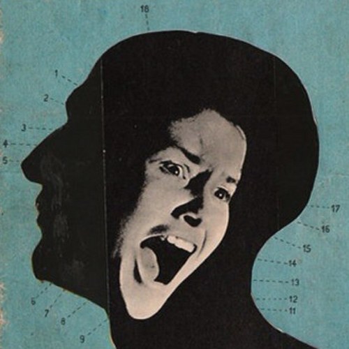 misscatella's profile picture. persa in traslazione