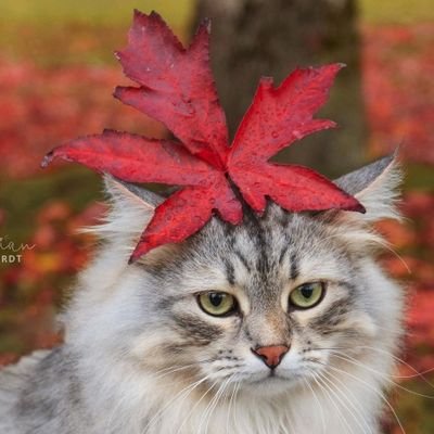 無言フォロー大歓迎🌈
北国の住人🇨🇦
⛩️真天地開闢集団ジグザグ,WANDS,
志尊淳
櫻井海音
長妻怜央