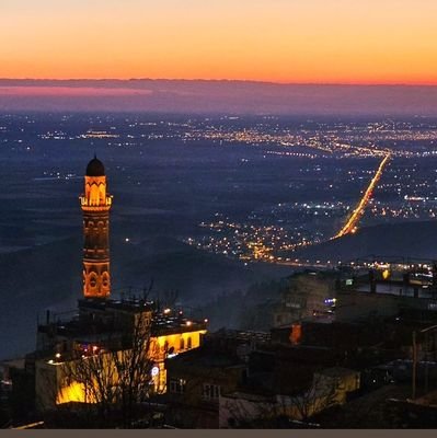 teologek's profile picture. 