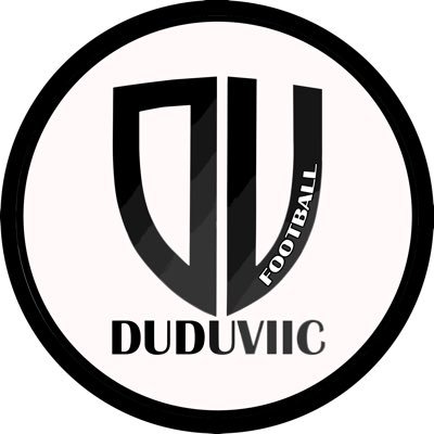 Duduviic Profile Picture