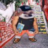 dezugin's profile picture. Computer science new grad #data #infosec i speak 🇧🇷 🇺🇸 🇪🇸 🇷🇺 Views my own. Слава Україні! #NAFO #OFAN #fella