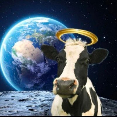 holycowsolana Profile Picture