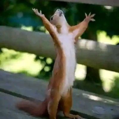 dejareh_'s profile picture. Here mainly for Cryptocurrency updates.
follow back..