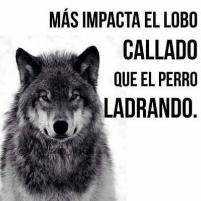 Bike1Gerardo's profile picture. Si sé lo que es el amor, es gracias a ti. 

- Herman Hesse