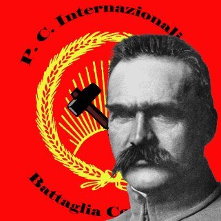 Proud Polish patriot | Left communist with Turbolechian characteristics | Slavic Neopagan