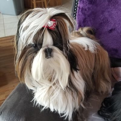 SandyCisle0417's profile picture. 