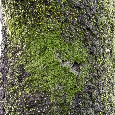 ponta_atnoq's profile picture. 