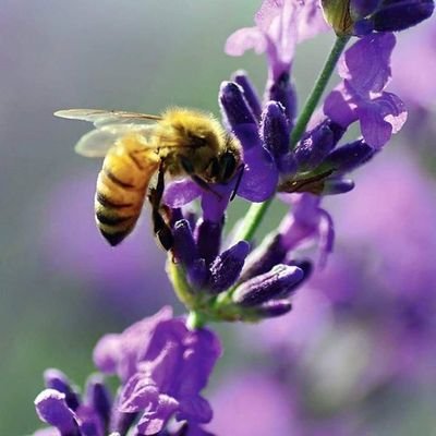 dergrexxie's profile picture. Older woman with no regrets.