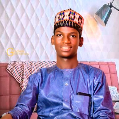 im Omancy, Affiliate marketer that deals with digital products💹 i stay at Gombe,  a student of Fed. Coll.Gombe.

I teach🔁people how to get money💰 onlinely📲.