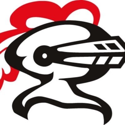 ❤🖤❤ Official Twitter page LWC Cheer 18',19', 20',22',23',24’,25’IHSA STATE QUALIFIER 12th,12th,8th,5th,6th IHSA STATE Championship SWSC🔴Conference Champs