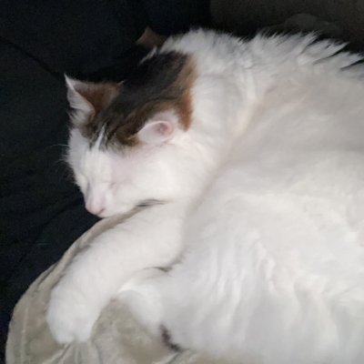 Lattzera's profile picture. tangz is my grandpa