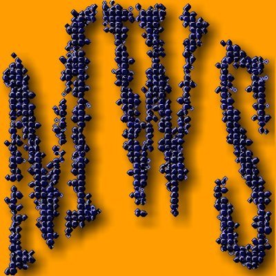 MyWritingSkills's profile picture. 