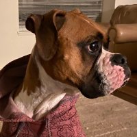 Benjamin Drake (@benjamindrake4) 's Twitter Profile