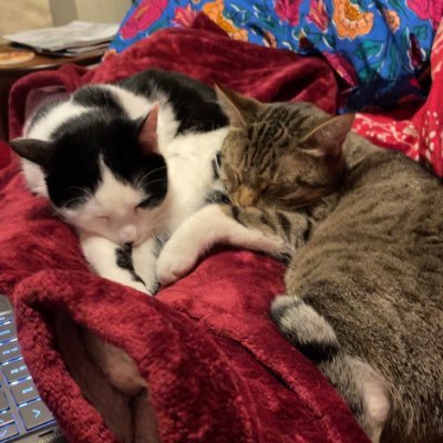 spaaaaccee's profile picture. planetary science