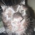 macronieee (@mac_ro_ni) Twitter profile photo macronieee (@mac_ro_ni) Twitter profile photo