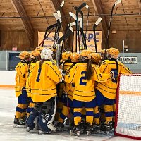 hastingsgirlshockey (@hastgirlshockey) 's Twitter Profile
