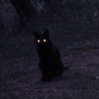 ๐ค๐ฆ (@tprivgx) 's Twitter Profile