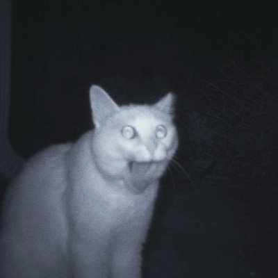 hi