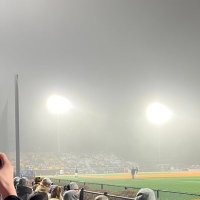 Rally Fog (@rally_fog) 's Twitter Profile