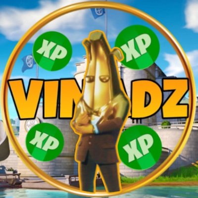 VINADZyt Profile Picture