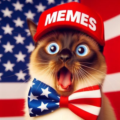 FOLLOW If you love Memes, Freedom, Viral and funny videos DON’T FOLLOW IF YOU’RE A SNOWFLAKE ✝️&🇺🇸