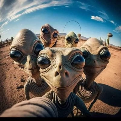 Claudiu706's profile picture. 