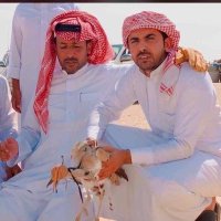 حامد البلوي (@hh39am4) 's Twitter Profile
