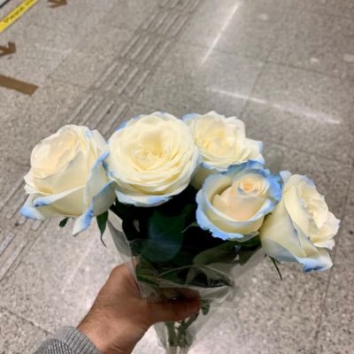 Gillani7288's profile picture. 