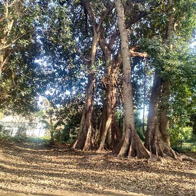 ZaimecheMo88795's profile picture. 